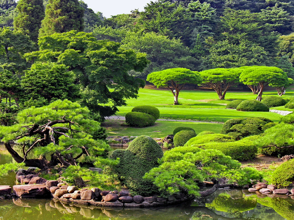 Jardin japonais